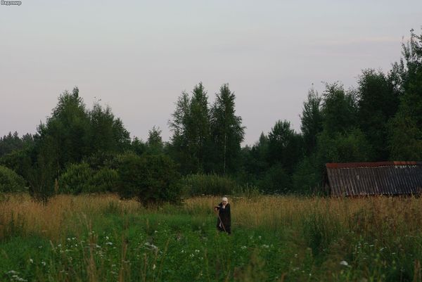 русская деревня летом фотографии