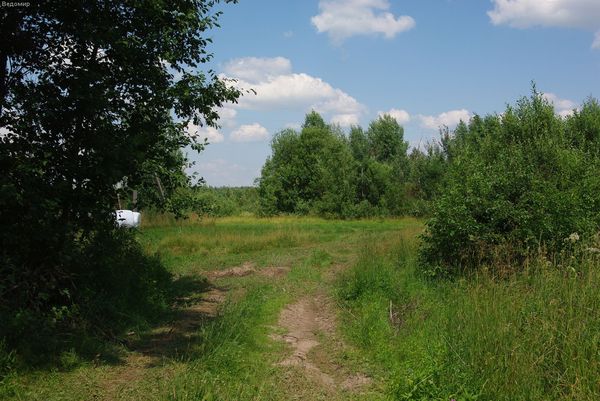 сельская дорога и русские поля