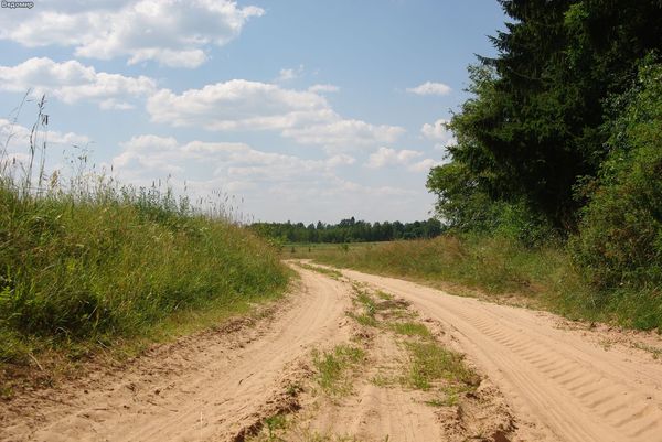 русская деревня дорога и поле летом