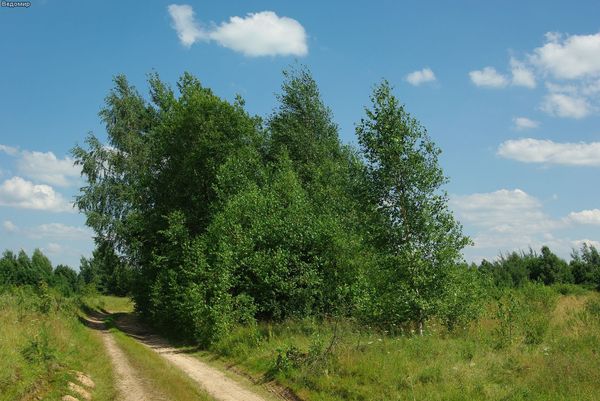 русская деревня дорога