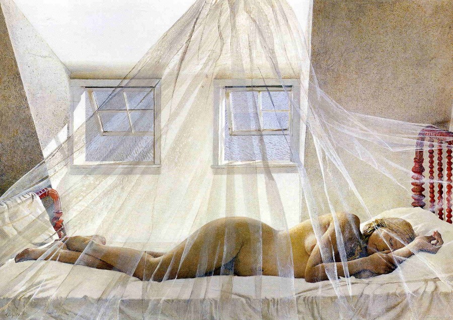 Andrew Wyeth Paintings 84