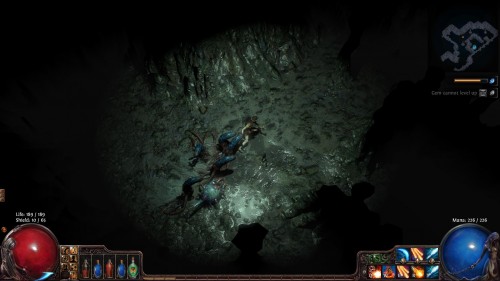 Path of the Exile